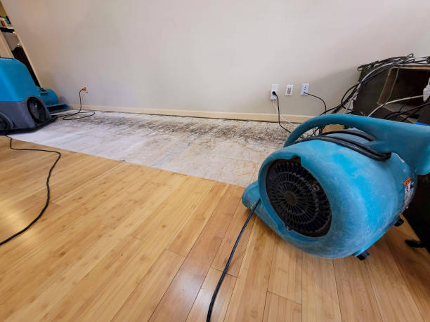 Reliable Basement Flood Cleanup contractor in Bay City, TX by Hirex Water Damage