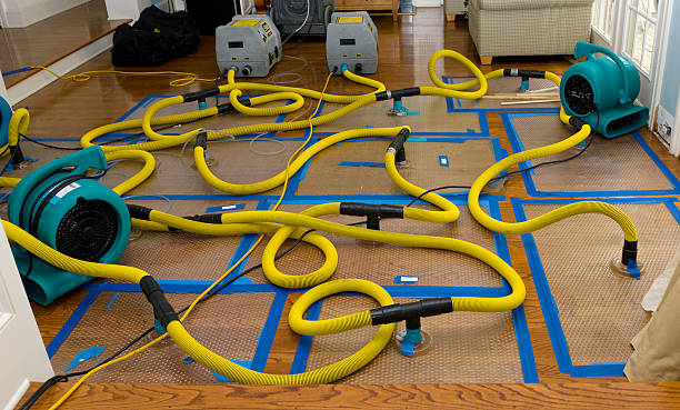 Professional Basement Flood Cleanup technician working in Bay City, TX